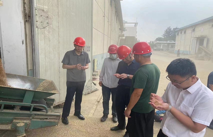 局党组书记、局长蒋超督导省市级储备粮收购、项目建设工作