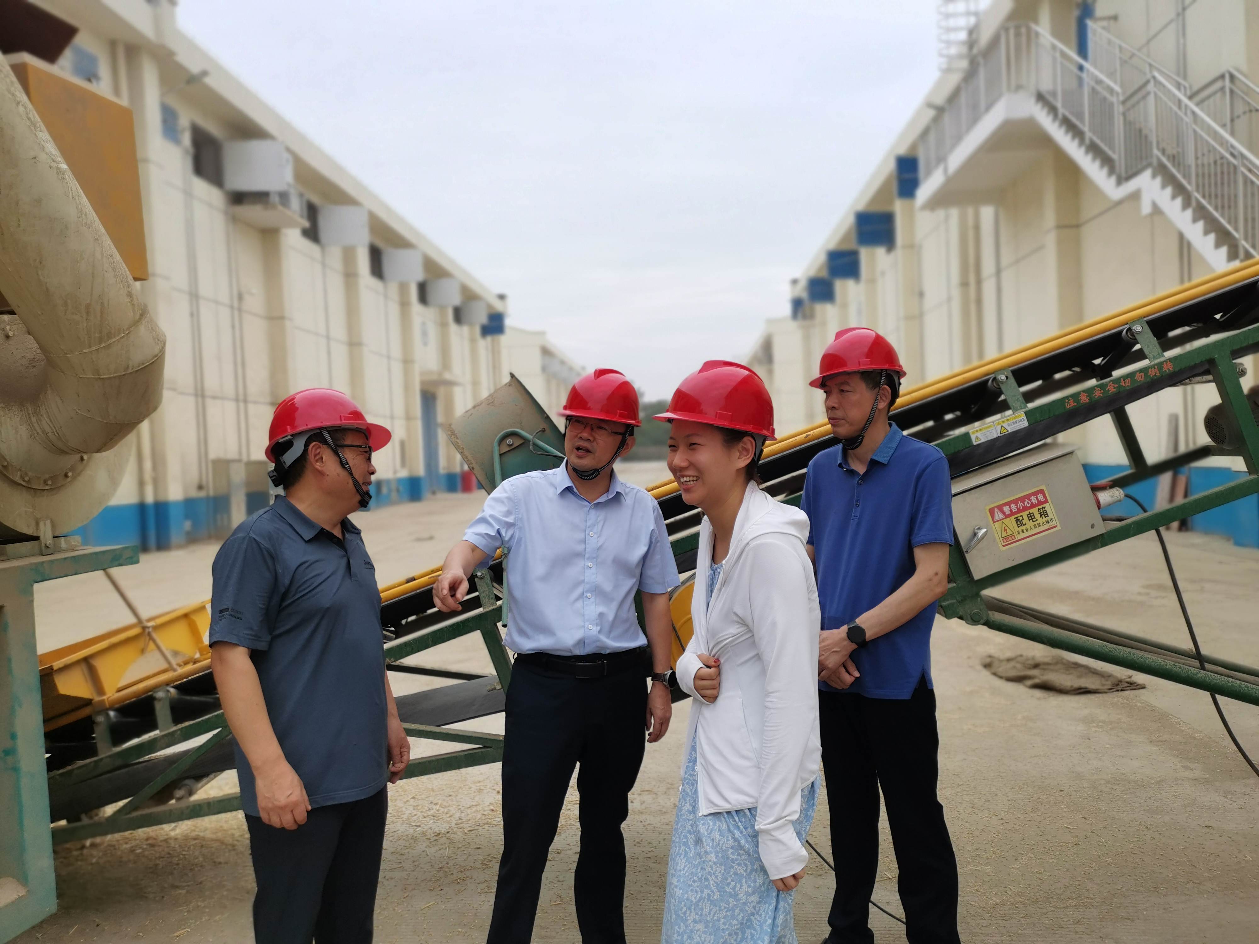 局党组书记、局长徐权赴罗山公司督导市储小麦收购工作