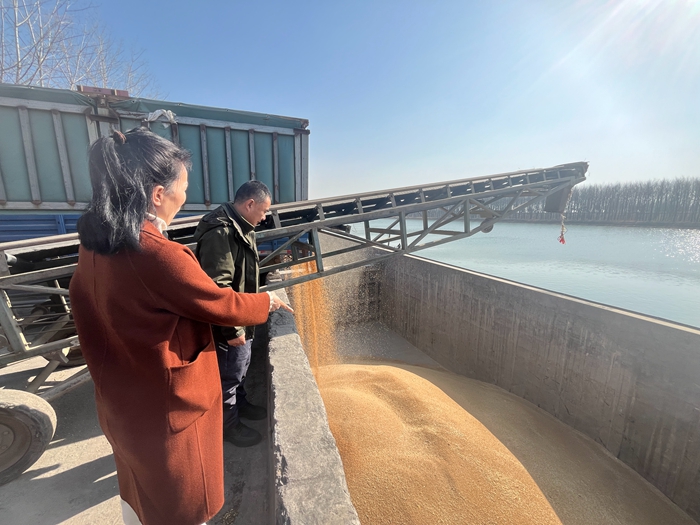 “党建领航，守护粮安”淮粮集团开展特色品牌党建活动