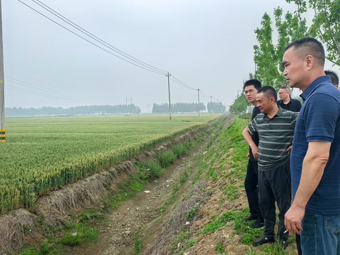 淮粮实业公司开展小麦市场调研