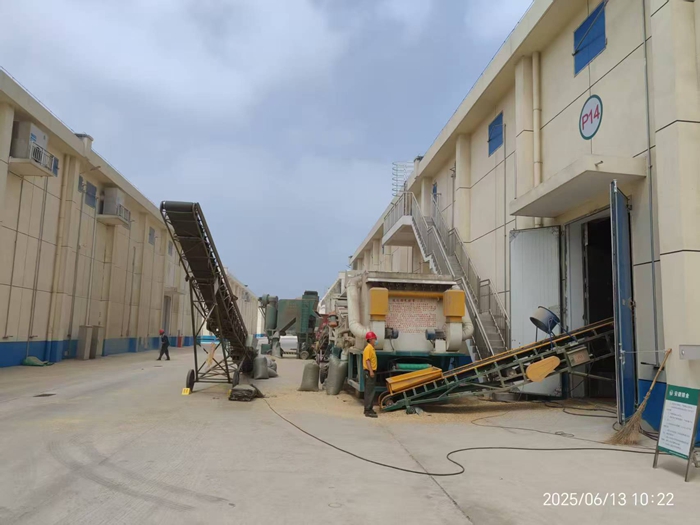 淮粮储备公司多措并举做好省级储备小麦收购工作